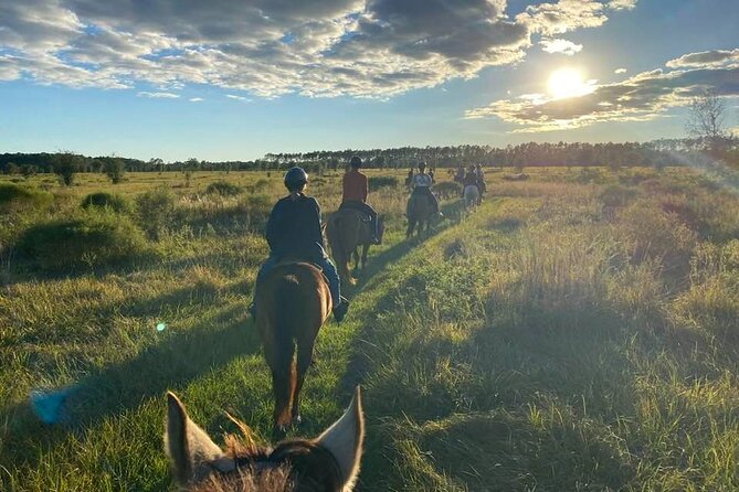 Horseback Ride on Scenic Lake Louisa Trails - Key Points Worth Knowing Before You Saddle Up