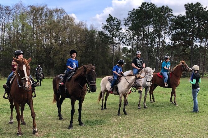 Horseback Ride on Scenic Lake Louisa Trails - Price and What You’re Actually Paying For ($79)