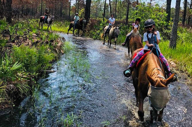 Horseback Ride on Scenic Lake Louisa Trails - The Real Flow of the Experience on Lake Louisa Trails