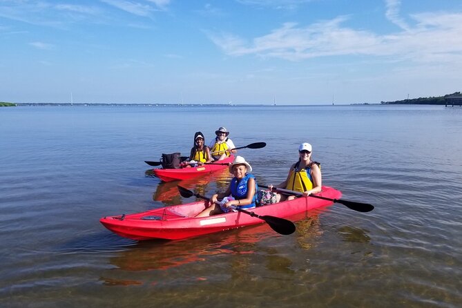 Indian River Clear Bottom Kayak or Paddleboarding Manatee and Dolphin Tour - Enter Kiwanis Island Park: how the tour starts