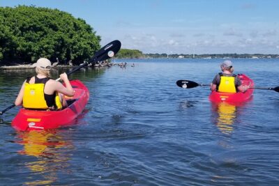 Indian River Clear Bottom Kayak or Paddleboarding Manatee and Dolphin Tour - Clear-bottom kayaks: what you can actually see