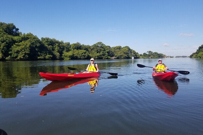 Indian River Clear Bottom Kayak or Paddleboarding Manatee and Dolphin Tour - What the paddling time feels like on the water