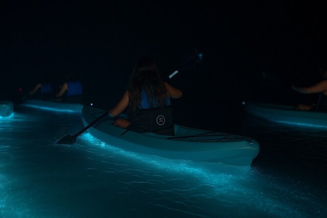 Kayak Tours and Rentals. Dolphins, Manatees, and Bioluminescence! - Key highlights you’ll care about