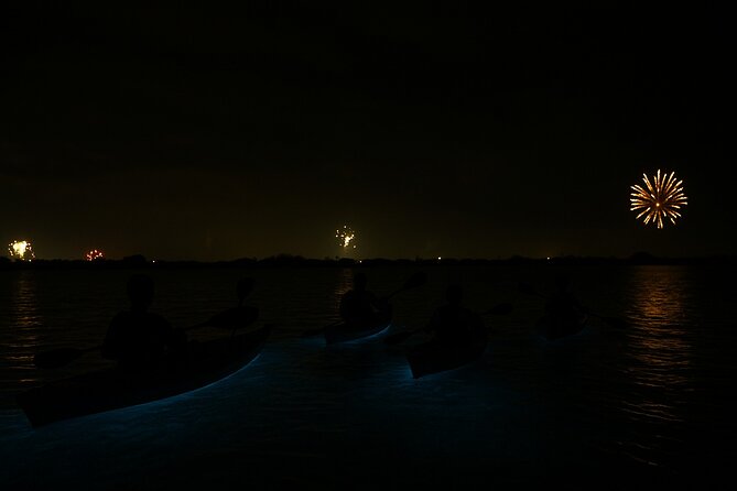 Kayak Tours and Rentals. Dolphins, Manatees, and Bioluminescence! - Gear and small inclusions that remove friction