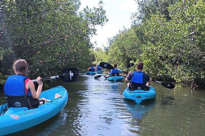 Kayak Tours and Rentals. Dolphins, Manatees, and Bioluminescence! - The eco part: dolphins, manatees, birds, and fish while you paddle