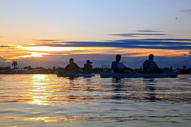 Kayak Tours and Rentals. Dolphins, Manatees, and Bioluminescence! - Bioluminescence: how the glow works (and when you should book)