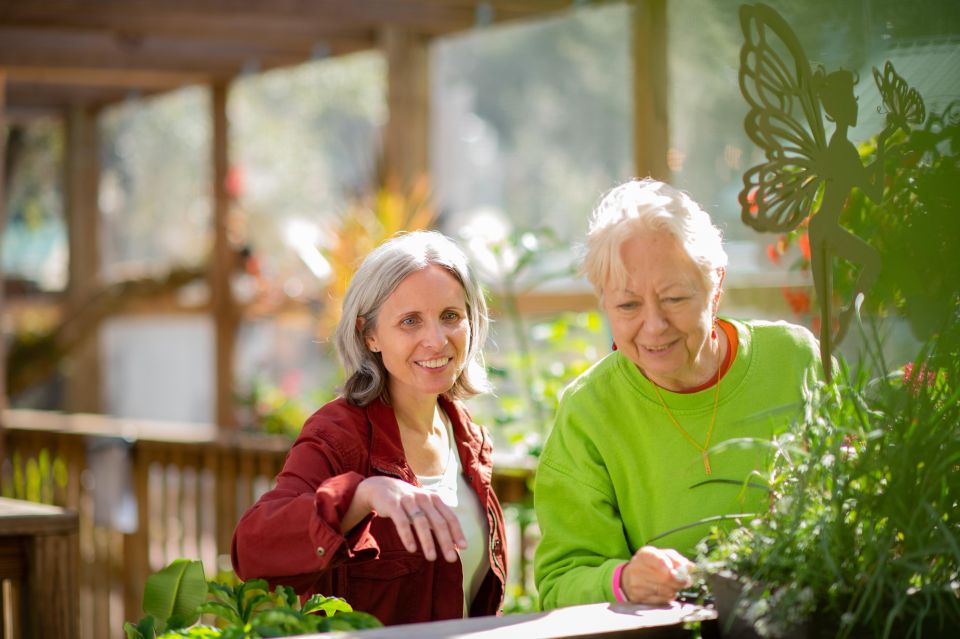 Kissimmee: Boggy Creek Airboat Ride with Optional Meal - Airboat over Everglades Headwaters: what the ride is really like