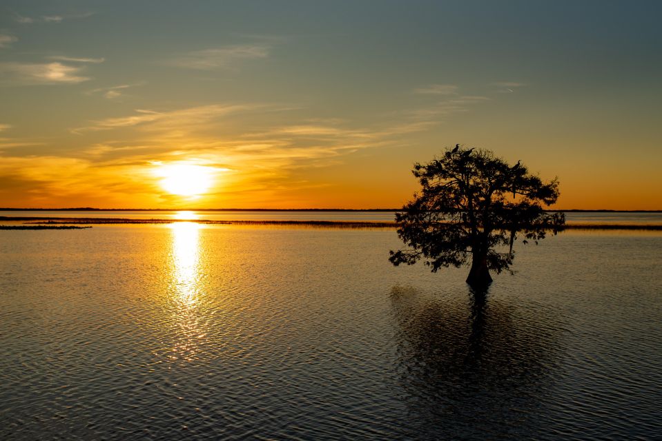 Kissimmee: Boggy Creek Sunset Airboat Tour - What the 1-hour itinerary actually looks like on the water