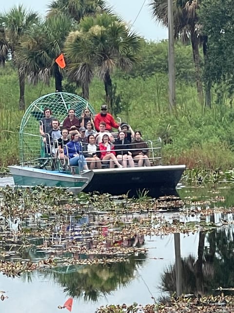 Kissimmee: Everglades Alligator and Wildlife Airboat Tour - Should you book this Kissimmee airboat tour with a baby gator hold?