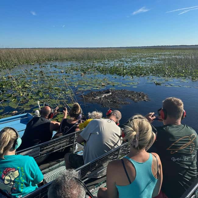 Kissimmee: Everglades Alligator and Wildlife Airboat Tour - Captains, stories, and the kind of commentary that sticks