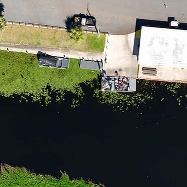 Kissimmee: Everglades Alligator and Wildlife Airboat Tour - Price and value: what $37 includes in a short Florida adventure