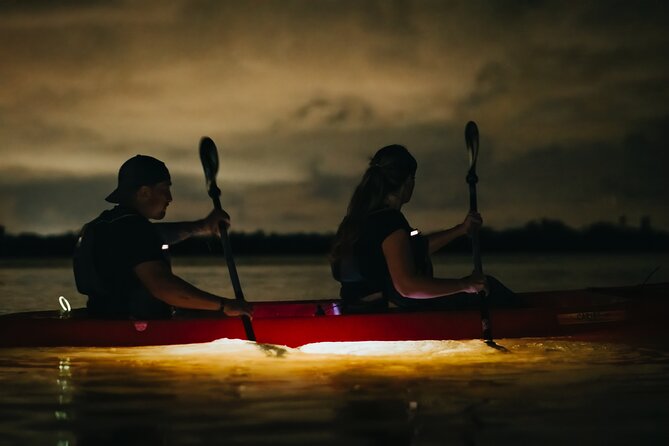 LED Bio Comb Jelly Clear Bottom Kayak or Paddleboard Tour! - Guide Power: The People Behind the Glow