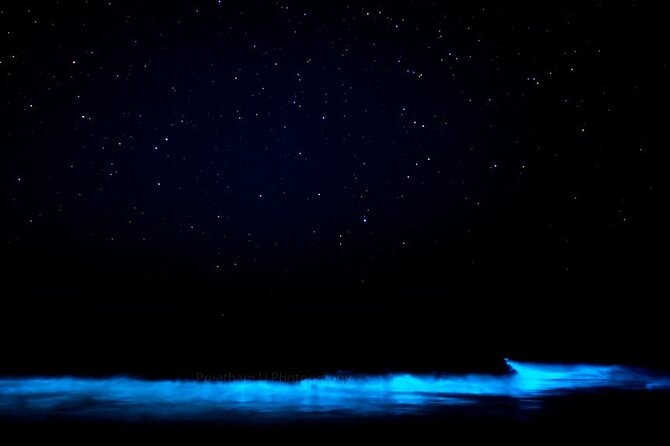 Magic After Dark Bioluminescence Kayak Tour Orlando - The 90-Minute Flow: From Paddling Out to Glowing Water Moments