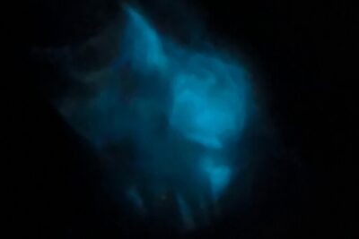 Magic After Dark Bioluminescence Kayak Tour Orlando - Where You Start Near Port Canaveral (And Why Location Matters)