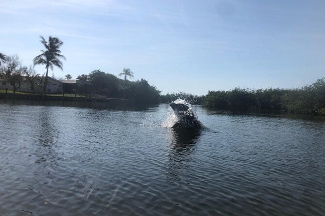 Manatee and Dolphin Kayak Tour - Kayaking the Banana River Lagoon from Cocoa Beach