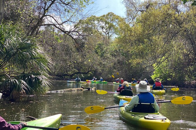 Manatee and Dolphin Kayak Tour - Guides, Gear, and Group Size (Up to 20)