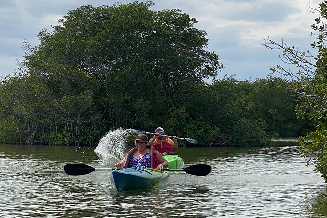 Manatee and Dolphin Kayak Tour - Who This Tour Fits Best (and Who Might Want a Different Option)