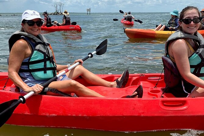 Manatee and Dolphin Kayaking Encounter - Dolphin search: when the water turns playful