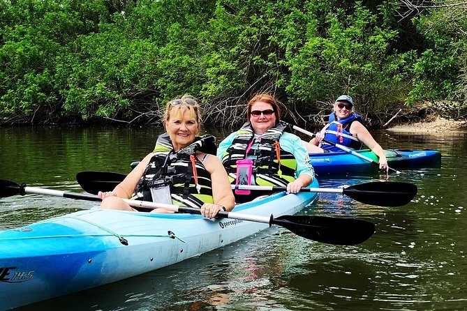 Manatee and Dolphin Kayaking Encounter - Florida wildlife bonus round: birds, crabs, gators, and more