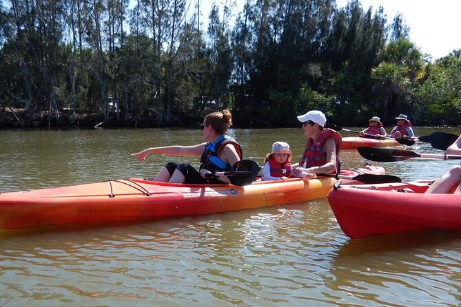 Manatee and Dolphin Kayaking Encounter - Value in your time: why this is more than a quick wildlife stop