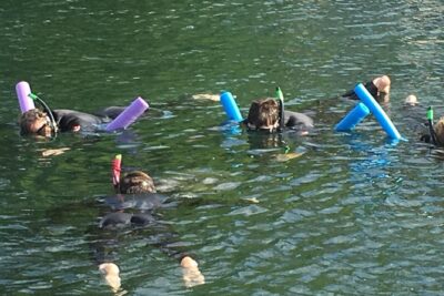 Manatee Snorkeling Adventure Tour with Lunch & Hotel Pickup - The Morning Boat Cruise: Wildlife Refuge Manatee Search