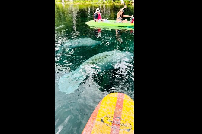 Manatees, Monkeys and Florida Natural Spring Adventure Tour - Stop one: from the state-park launch toward the spring head