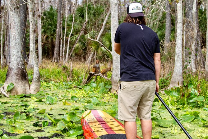 Manatees, Monkeys and Florida Natural Spring Adventure Tour - Stop two: the wider Silver Springs River stretch for manatees