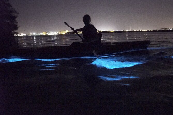 Manatees/Sunset/Bioluminescence Tour - How This 3-Hour Kayak Trip Feels on the Water