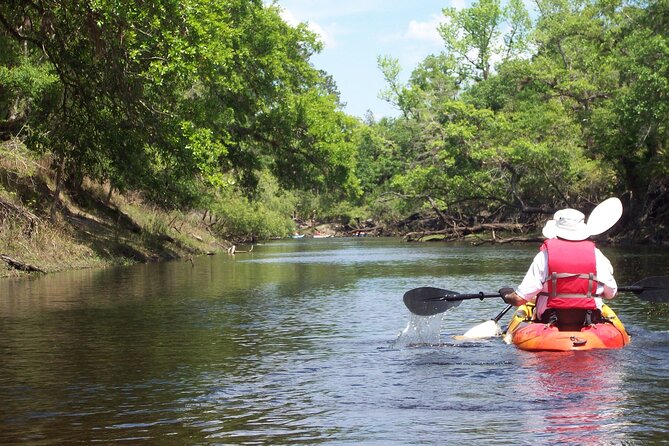 Manatees/Sunset/Bioluminescence Tour - Spotting Manatees, Dolphins, and Birds in Their Habitat
