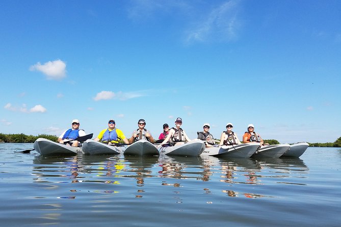 Mangrove Tunnels, Dolphins, Manatee Tour #1 Rated in Cocoa Beach - How the 2-Hour Tour Flows From Training to the Lagoon Maze