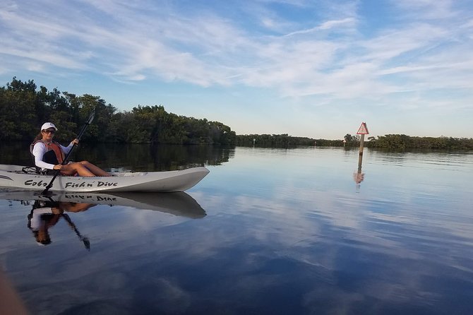 Mangrove Tunnels, Dolphins, Manatee Tour #1 Rated in Cocoa Beach - Single vs Tandem Kayaks: Picking the Right Setup