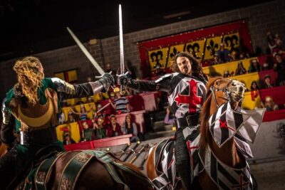 Medieval Times Dinner Show in Orlando - The Arena’s Color Zones and the Kings of the Realm