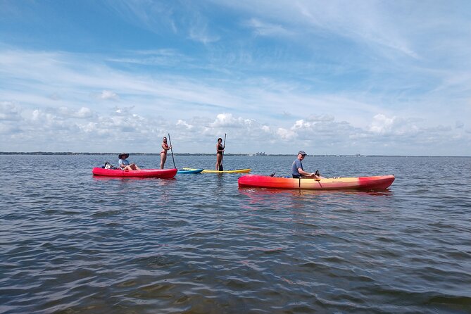 One Tandem Kayak Rental for 2 hours with Manatee & Dolphin sightings! - Exploring islands and wildlife edges without getting off track
