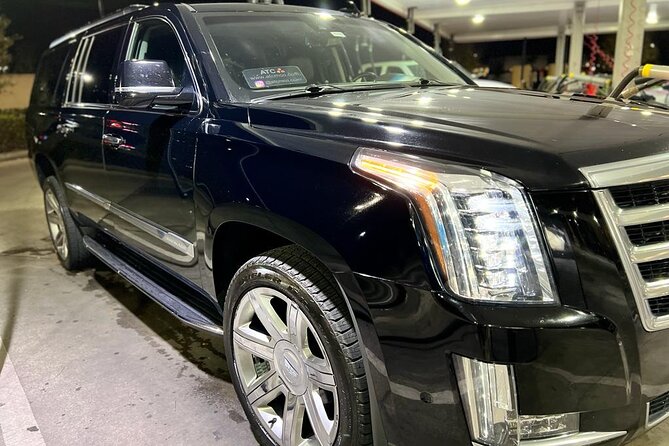 Orlando Airport MCO and Hotels Private Transfer to Port Canaveral - Wheelchair accessibility and service animals: practical support where it counts