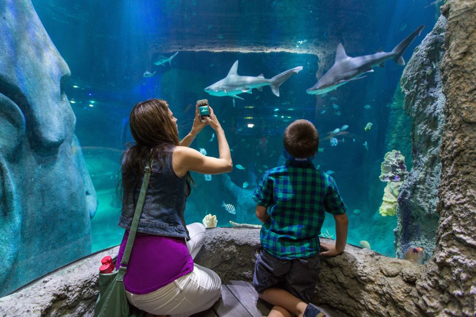 Orlando: All-Inclusive Pass with Kennedy Space Center - How to build a smart itinerary without wasting time