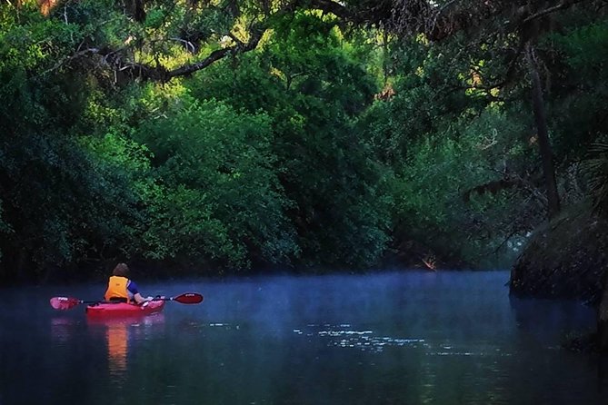 Orlando Alligator Experience - Key Highlights to Know Before You Go