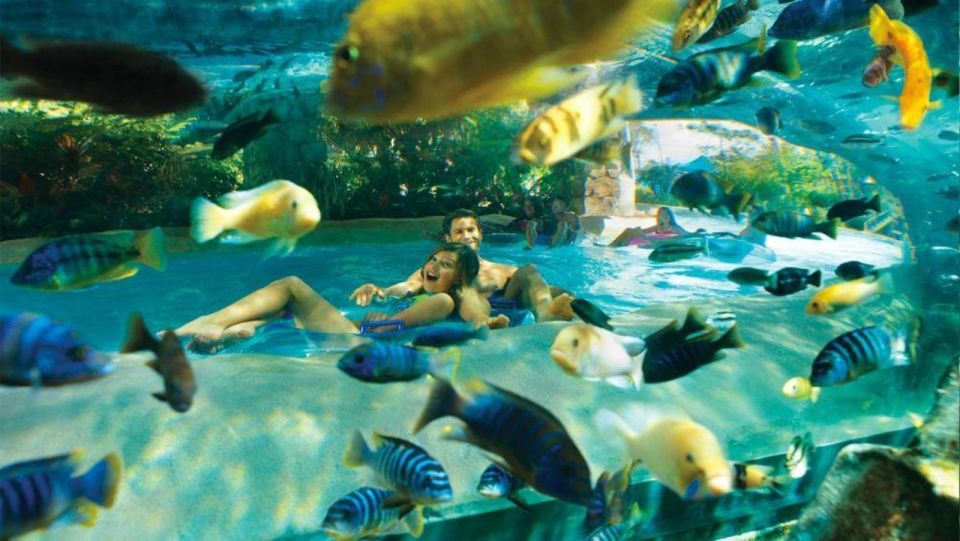 Orlando: Aquatica Water Park Admission Ticket - Key highlights that make Aquatica a smart water-park day