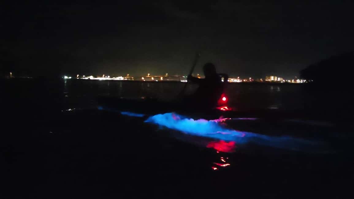 Orlando: Bioluminescence Kayak Adventure - Should you book this bioluminescence kayak tour?