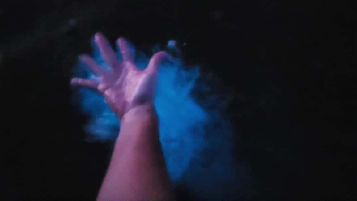 Orlando: Bioluminescence Kayak Adventure - Why the Indian River Lagoon glows at night