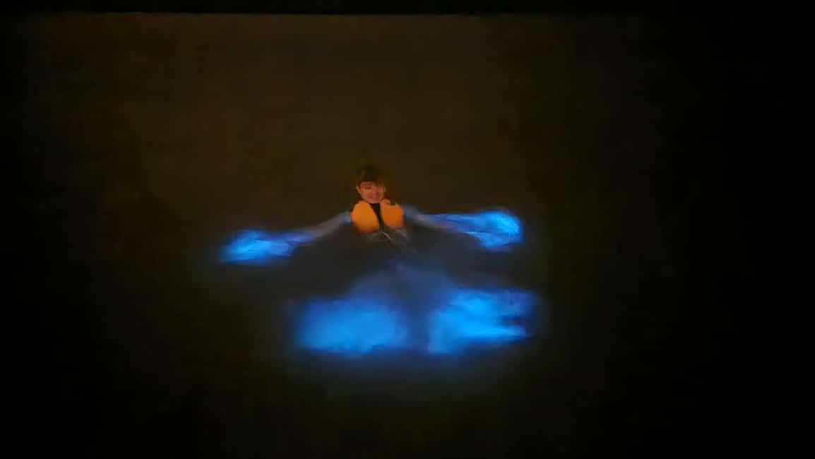 Orlando: Bioluminescence Kayak Adventure - What you’ll actually see: glowing water plus marine life