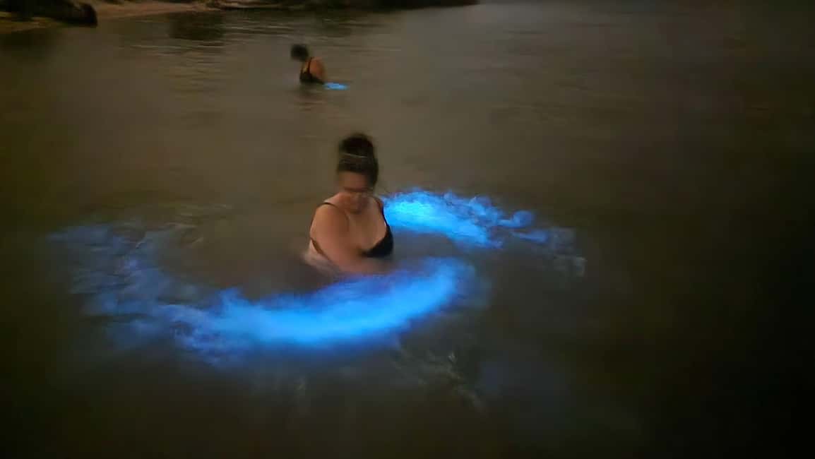 Orlando: Bioluminescence Kayak Adventure - Gear, snacks, and comfort: what to bring for a night paddle