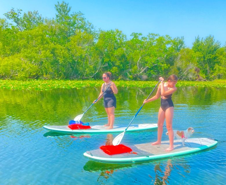 Orlando: Clear Kayak and Paddleboard 2-Hour Rental - What to pack for a comfy 2 hours on Lake Ivanhoe