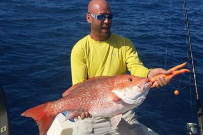 Orlando Deep Sea Fishing Charter - Private boat rules: why up to 6 people feels like the sweet spot
