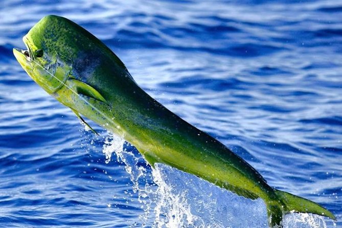 Orlando Deep Sea Fishing Charter - The flow of the day: Orlando approach, port inlet sights, then out past Port Canaveral
