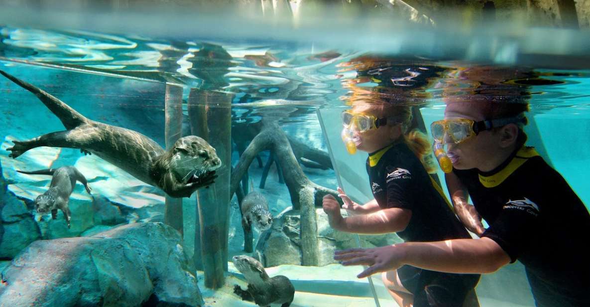 Orlando: Discovery Cove Admission Ticket & Additional Parks - Wind-away River and the gentle rhythm of Discovery Cove’s water zones