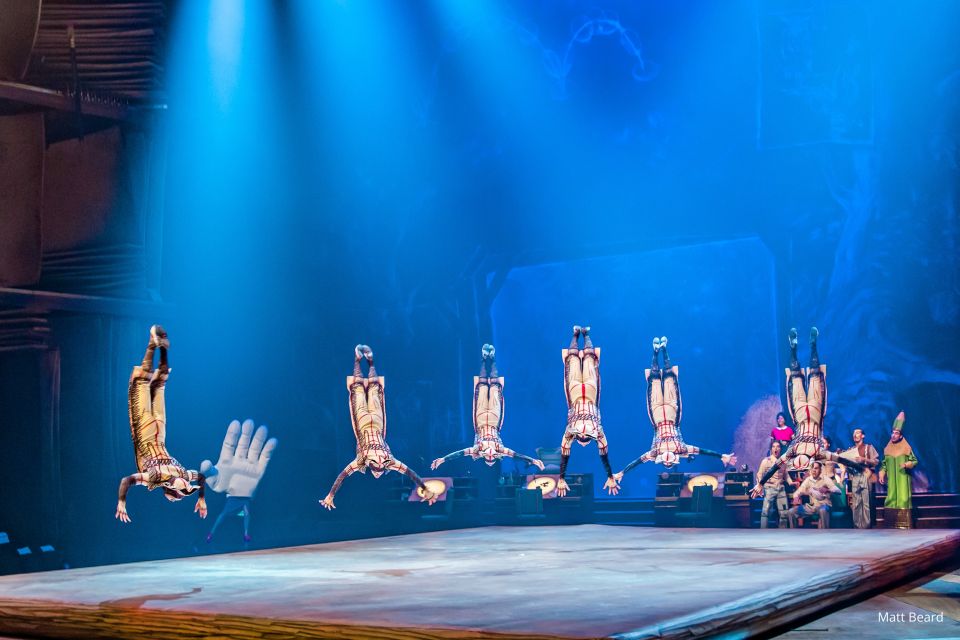 Orlando: "Drawn to Life" Cirque du Soleil Ticket - Should you book Cirque du Soleil Drawn to Life in Orlando?