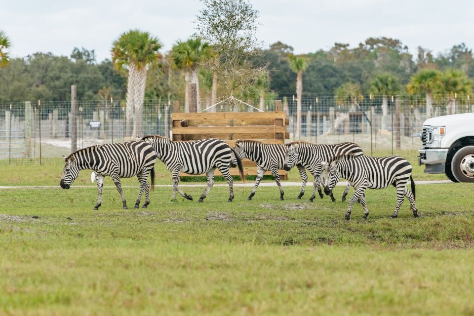 Orlando: Drive-Thru Safari Park at Wild Florida - Price and value: what $35 really buys you