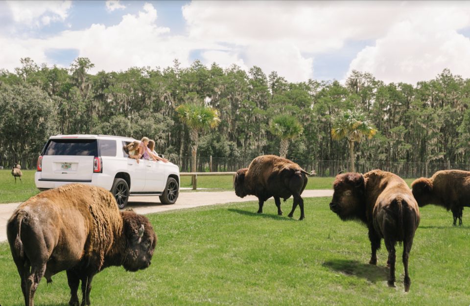 Orlando: Drive-Thru Safari Park at Wild Florida - Entering the park: what self-guided actually means