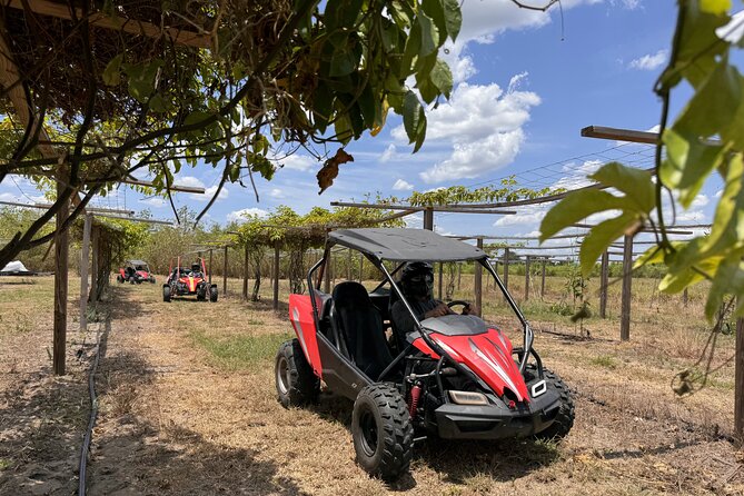 Orlando Dune Buggy Tour - Saint Cloud Off-Roading: The Part Where You Stop Thinking and Just Drive