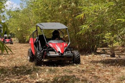 Orlando Dune Buggy Tour - The Timing That Matters: What the 3 Hours Really Includes